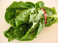 Romaine-lettuce