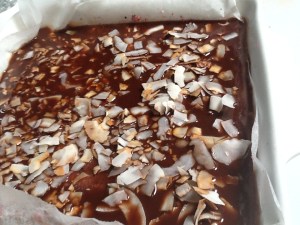 2015-12-05 13.41.53 - Copy