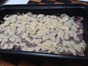 2015-12-05 14.10.43 - Copy