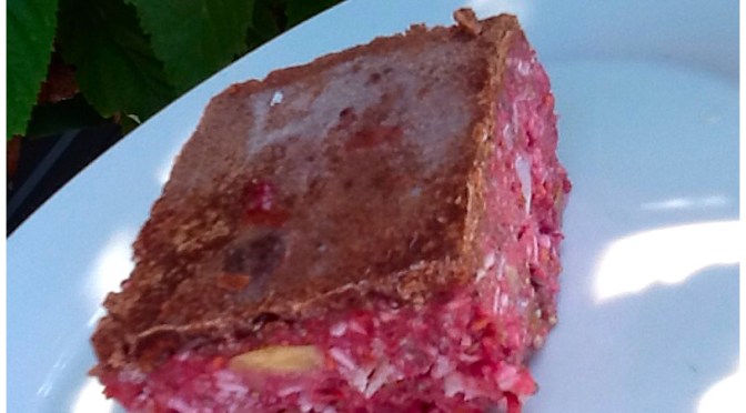 Raw Cherry and Coconut Slice